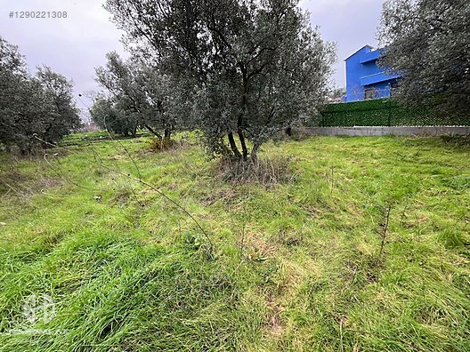 BÖLGE UZMANI HAS EMLAK DENİZ MANZARALI FIRSAT HOBİ BAHÇESİ - BURSA MUDANYA fotoğraf 37