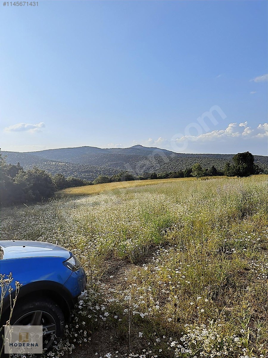 KÜTAHYA MERKEZ KİREÇÇİFLİĞİ MANZARALI 1477 M2 TAM HİSSE TARLA! - KÜTAHYA MERKEZ fotoğraf 9
