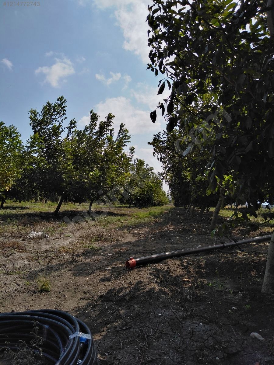 BURSA KARACABEY SUBAŞI KÖYÜNDE 6.000  M² TARLA SATILIKTIR - BURSA KARACABEY fotoğraf 13