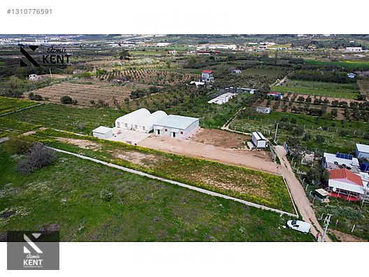 Kemalpaşa Satılık Mantar Üretim Tesisi 500 m2 - İZMİR KEMALPAŞA fotoğraf 16