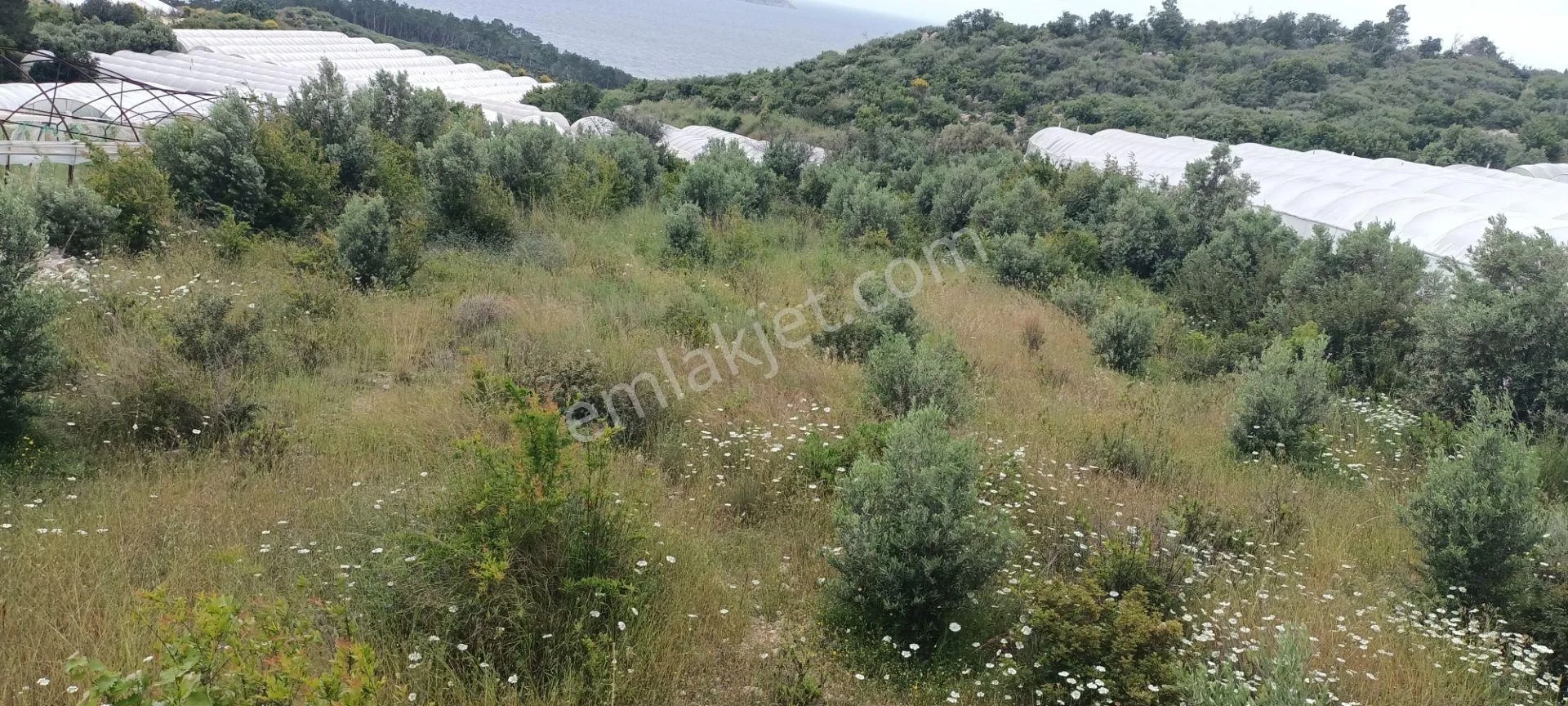 Kumluca Yenicepınar Da Deniz Manzaralı Satılık Arsa-tarla - ANTALYA KUMLUCA fotoğraf 26