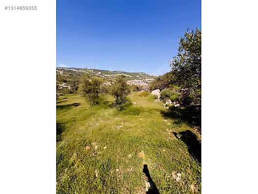 PANORAMİK MANZARALI YATIRIMLIK ZEYTİNLİK - HATAY YAYLADAĞI fotoğraf 11