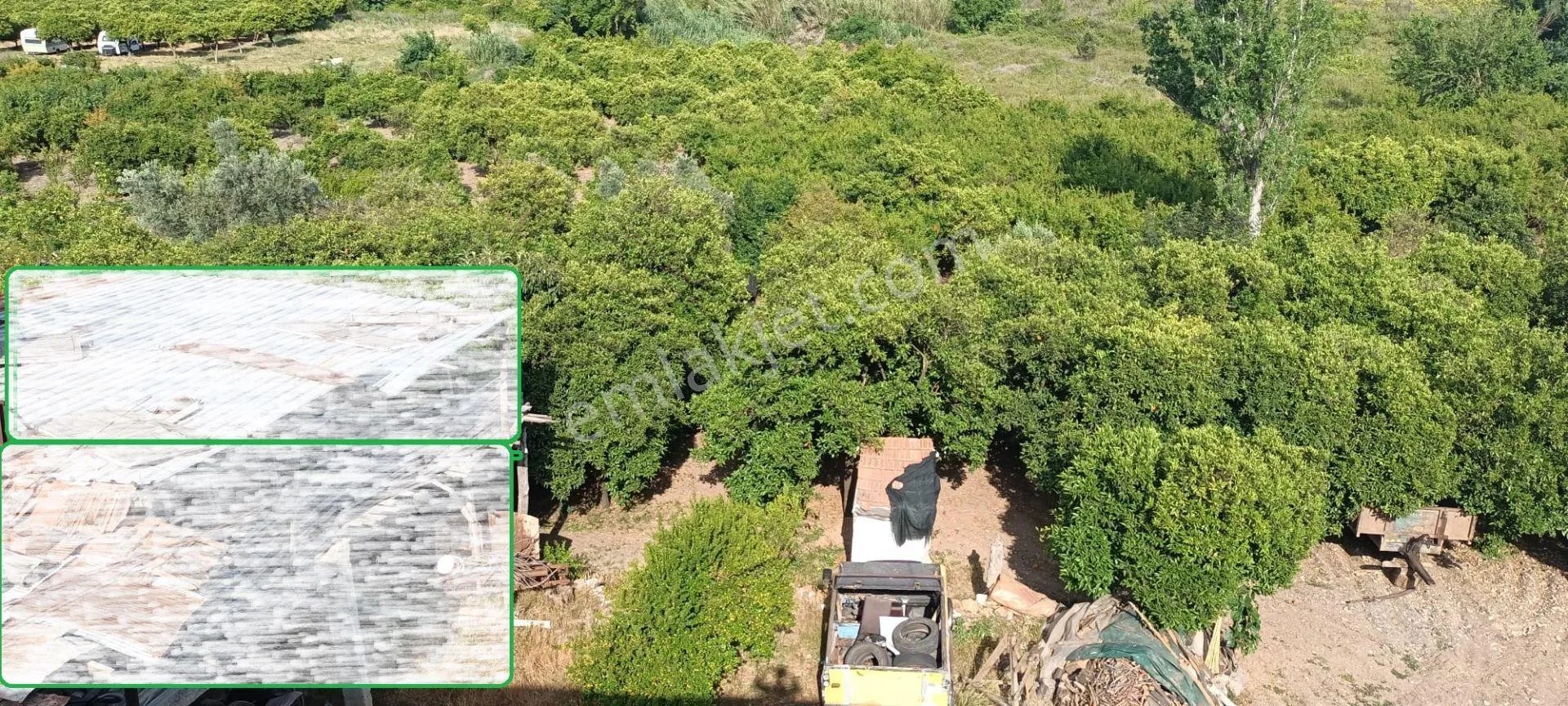Kumluca Adrasanda Satılık Arsa-tarla( Dönüm Fiyatı) - ANTALYA KUMLUCA fotoğraf 13