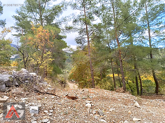 !!! FIRSAT TEKLİF !!! KARACAÖREN MAH. 564m2 ARAZİ UYGUN FİYAT !! - ANTALYA KUMLUCA fotoğraf 13