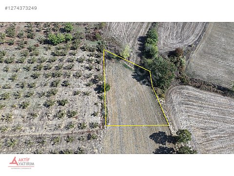KANDIRA'DA YERLEŞİM KENARI TERAS KONUMDA 1210 M2 SATILIK TARLA - KOCAELİ KANDIRA fotoğraf 8