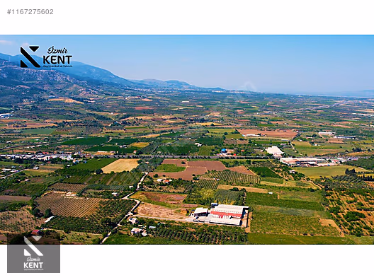 Kemalpaşa Armutlu Satılık 2300 m2 Bahçe Müstakil Parsel Tek Tapu - İZMİR KEMALPAŞA fotoğraf 22