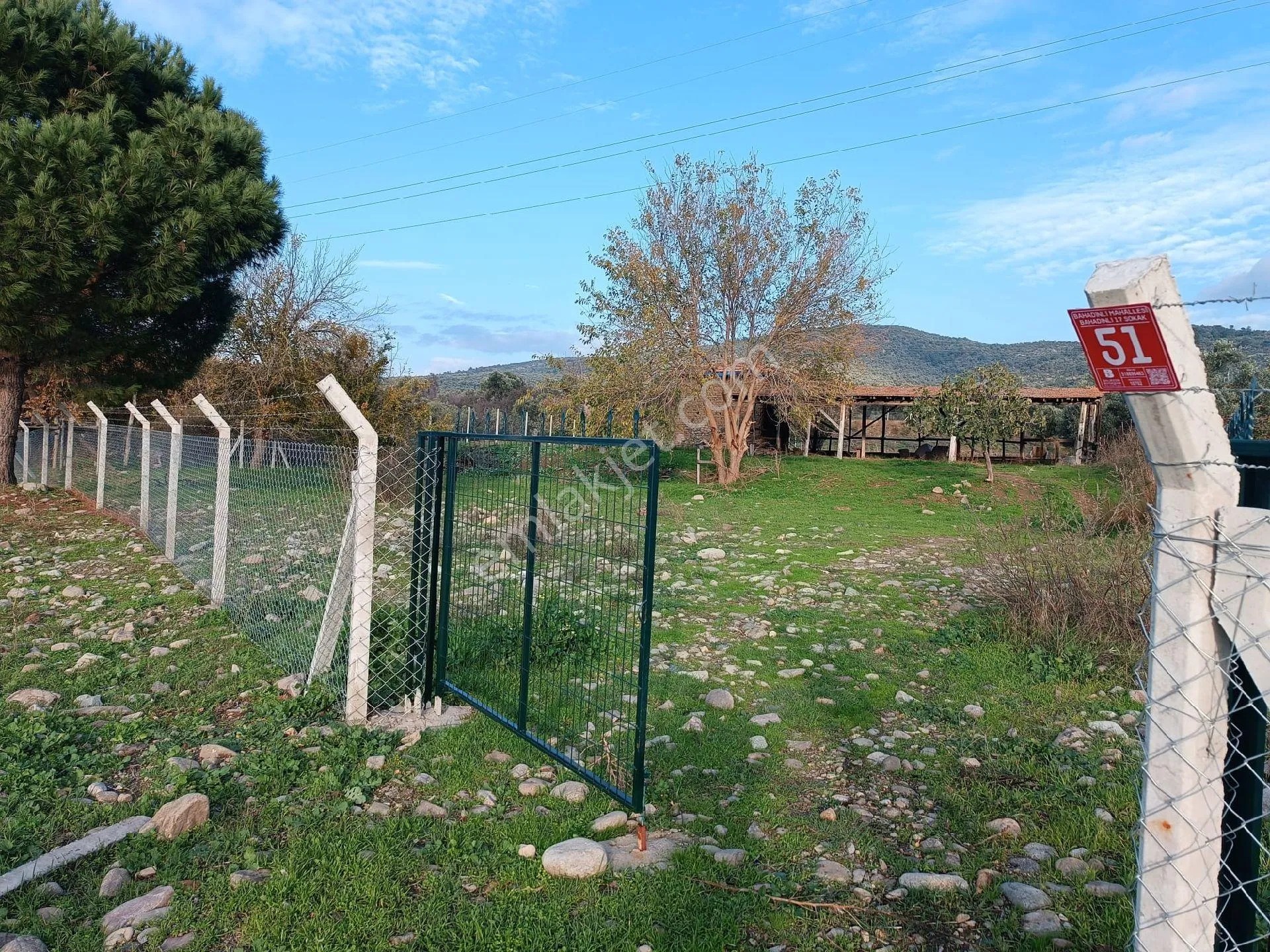 Balıkesir Burhaniye Bahadınlı Köyünde Satılık Tarla Bahçe - BALIKESİR BURHANİYE fotoğraf 4