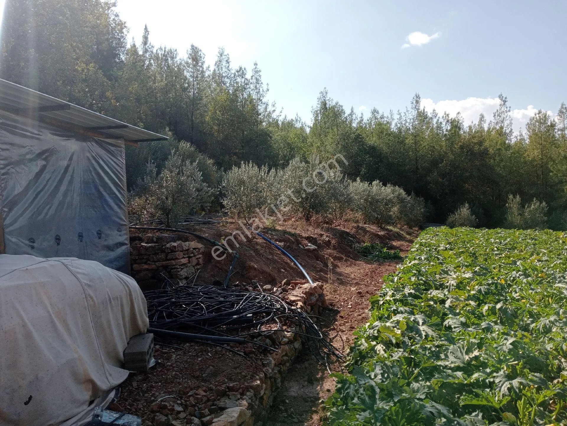 Antalya Kumlucada Satılık Müstakil Bahçe İnceoğlu Emlak - ANTALYA KUMLUCA fotoğraf 15