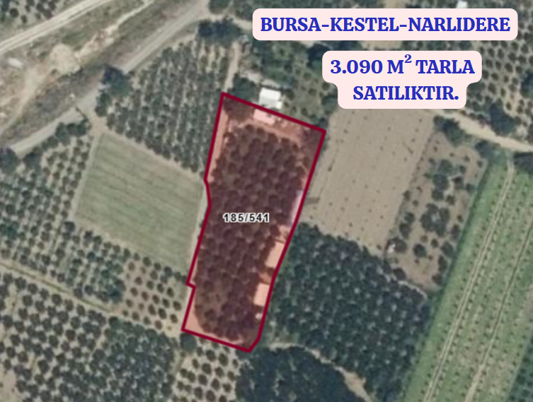 BURSA KESTEL NARLIDERE KÖYÜNDE 3.090 M² TARLA SATILIKTIR - BURSA KESTEL fotoğraf 2