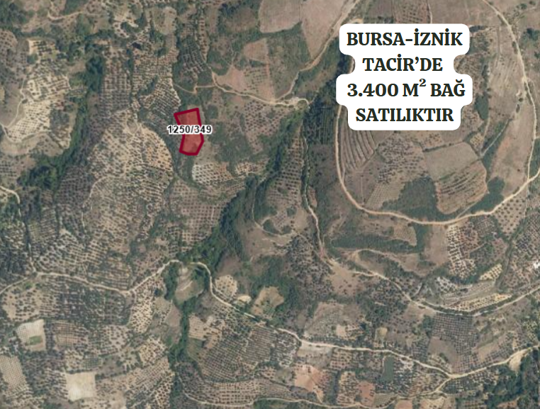 BURSA İZNİK TACİR MAHALLESİ'NDE 3.400 M² TARLAMIZ SATILIKTIR - BURSA İZNİK fotoğraf 2