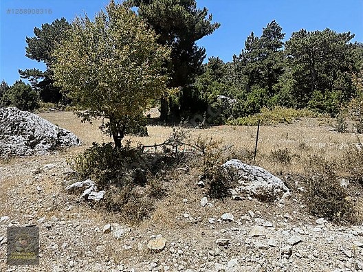 ANTALYA KAŞ YAYLAPALAMUT' DA 3.888 M2 UYGUN ARSA - ANTALYA KAŞ fotoğraf 10