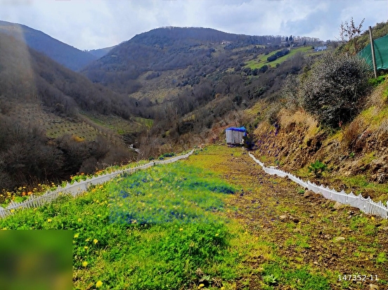 KURUGÖKÇE DE 250M EV YAPMAYA UYGUN - SAMSUN ATAKUM fotoğraf 2