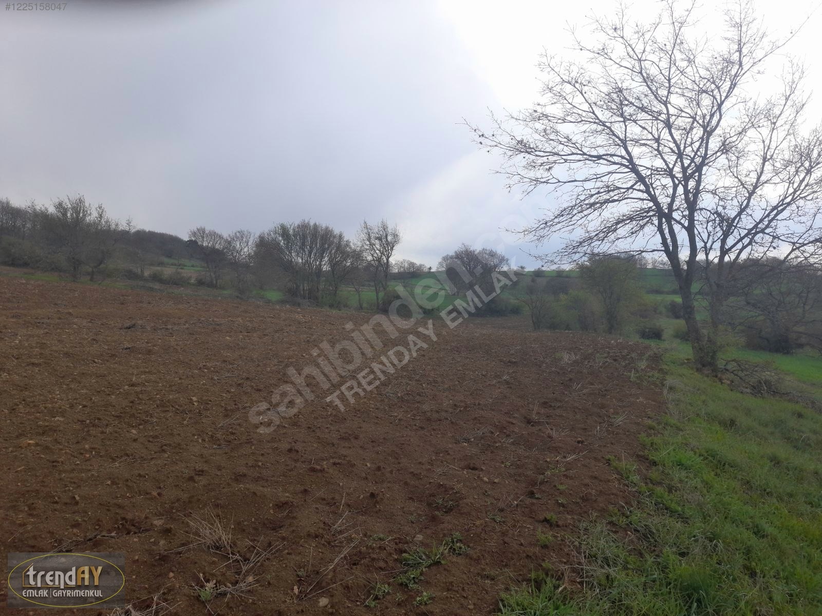 Dübekli Köyü'nde 10.570 m² Kadastral Yola Cepheli Tarlalar - BİLECİK BOZÜYÜK fotoğraf 25