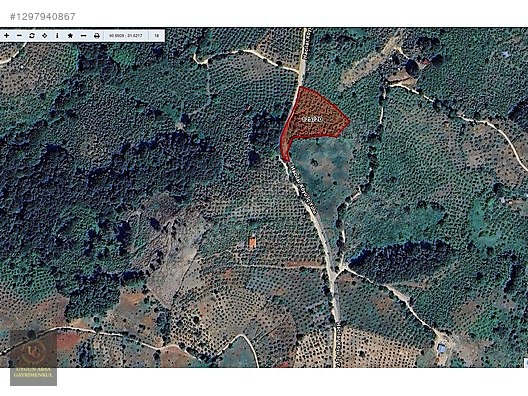 DÜZCE YIĞILCA HACILAR 'DA 2.744 M2 BAĞ EVİ OLAN FINDIK BAHÇESİ - DÜZCE YIĞILCA fotoğraf 30