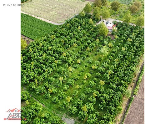 SAKARYA ARİFİYE KEMALİYE KÖYÜNDE 10866M2SATILIK.yıl sonuna kadar - SAKARYA ARİFİYE fotoğraf 5