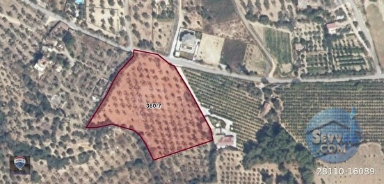 ŞEHIR MERKEZINE YAKIN 11.268 M² SATILIK ZEYTINLIK - AYDIN KUŞADASI fotoğraf 14