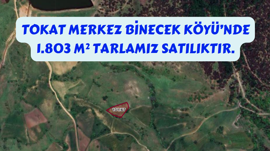 TOKAT MERKEZ BİNECEK KÖYÜNDE 1.803 M² TARLAMIZ SATILIKTIR. - TOKAT MERKEZ fotoğraf 2