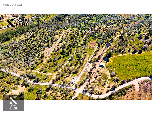 Kemalpaşa Vişneli Satılık 370 m2 Bahçe Elektrik Su Yol - İZMİR KEMALPAŞA fotoğraf 36