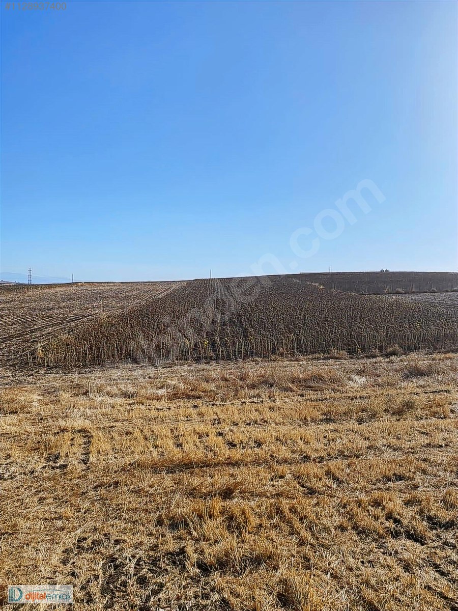 Bandırma Akçapınarda Yatırımlık Satılık 7.700 m2 Arazi. - BALIKESİR BANDIRMA fotoğraf 15