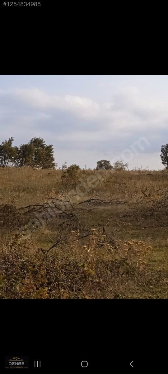 Denge Gayrimenkul BALIKESİR SUSURLUK GÜRECE'DE YATIRIMLIK ARAZİ - BALIKESİR SUSURLUK fotoğraf 11