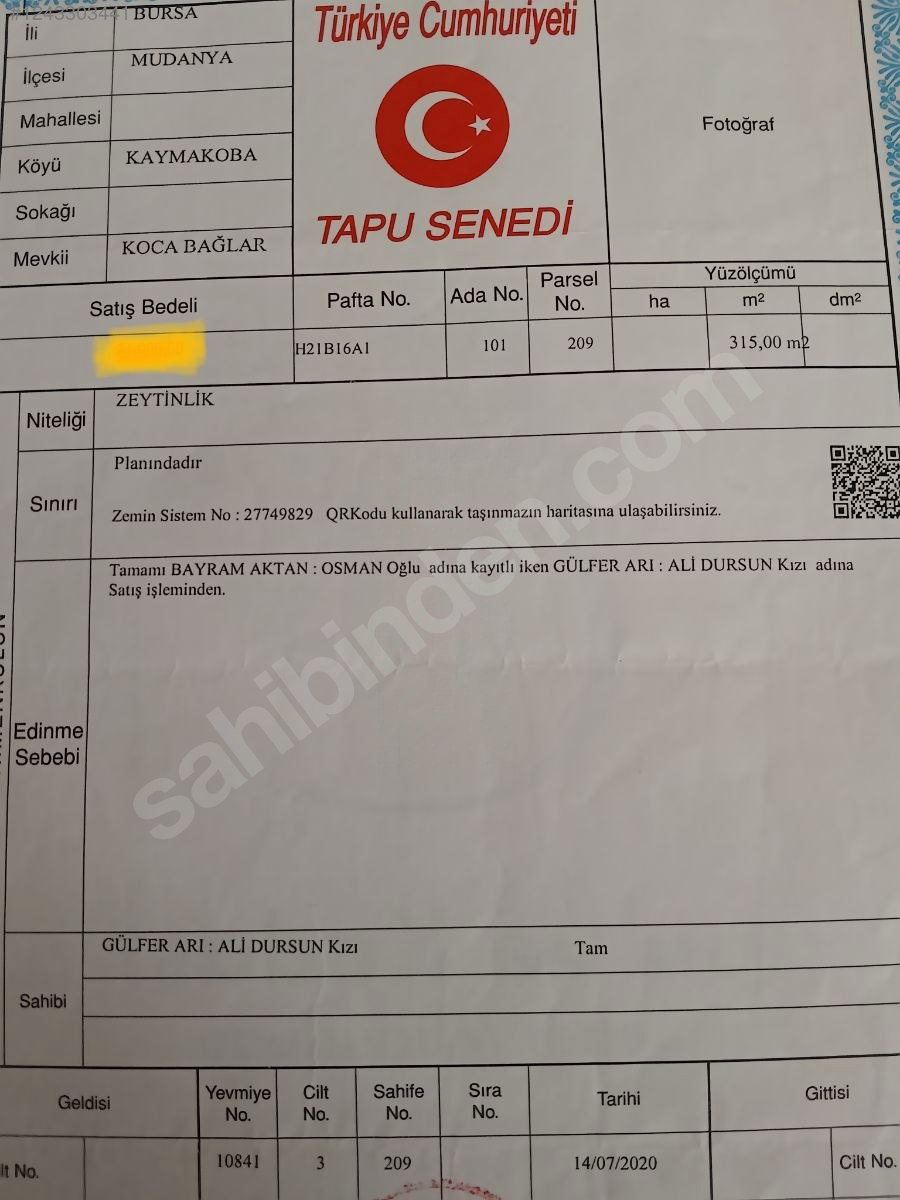 BURSA MUDANYA KAYMAKOBA  KÖYÜNDE 315 M²  ZEYTİNLİK SATILIKTIR - BURSA MUDANYA fotoğraf 16