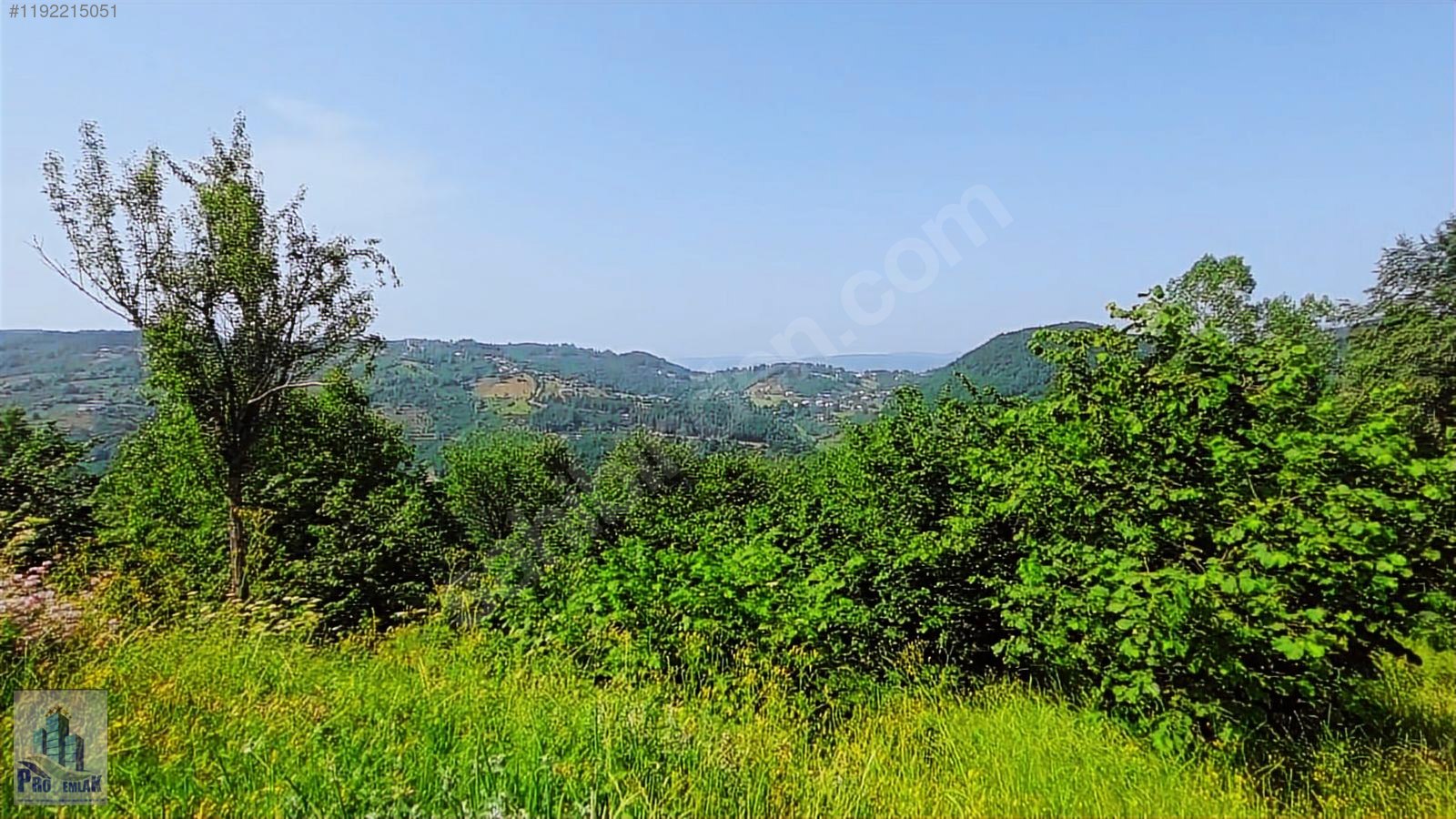DÜZCE KAYNAŞLI BIÇKIYANI K TOPUK YAYLASINA 3KM İMARLI 750M2 ARSA - DÜZCE KAYNAŞLI fotoğraf 5