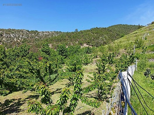 TAŞHAN EMLAKDAN YENİCE DE SATILIK TEK TAPU HOBİ BAHÇE - AMASYA MERKEZ fotoğraf 4