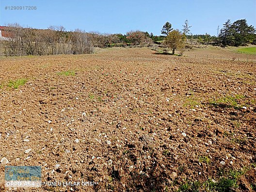 ÜNLÜ EMLAKTAN ŞEHRE YAKIN KONUMDA İMARA CEPHE FIRSAT HOBİBAHÇESİ - KASTAMONU MERKEZ fotoğraf 45