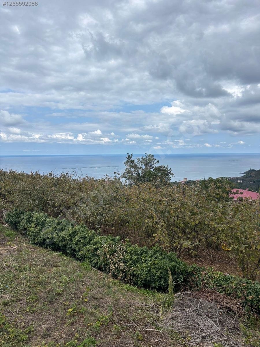 OBHD GLOBAL GAYRİMENKUL'DEN KEŞAP TEPEKÖY'DE SATILIK ARSA - GİRESUN KEŞAP fotoğraf 5