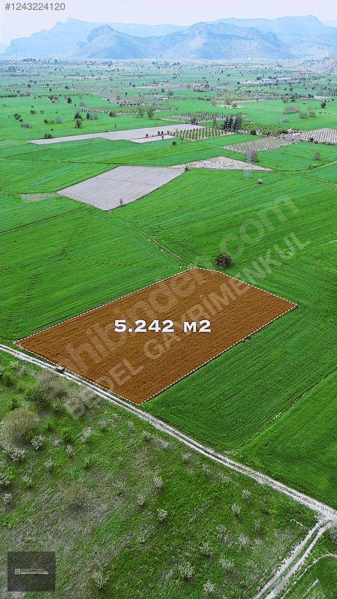 SATILIK BUCAK GÜNDOĞDU BELDESİNDE 5240 M2 TARLA - BURDUR BUCAK fotoğraf 5