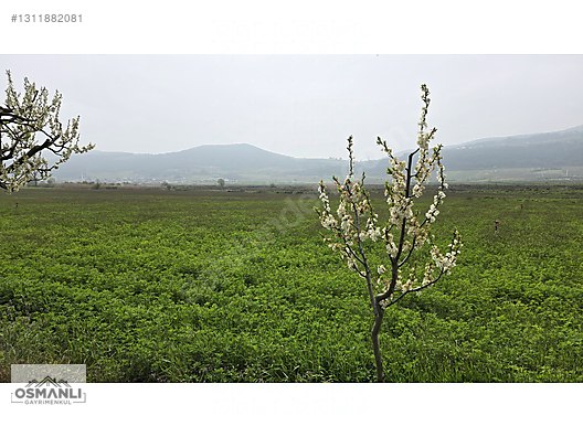 YEŞİLÇİMEN'DE SUYU YOLU OLAN ÇİFTLİK ARAZİSİ - BİLECİK OSMANELİ fotoğraf 3