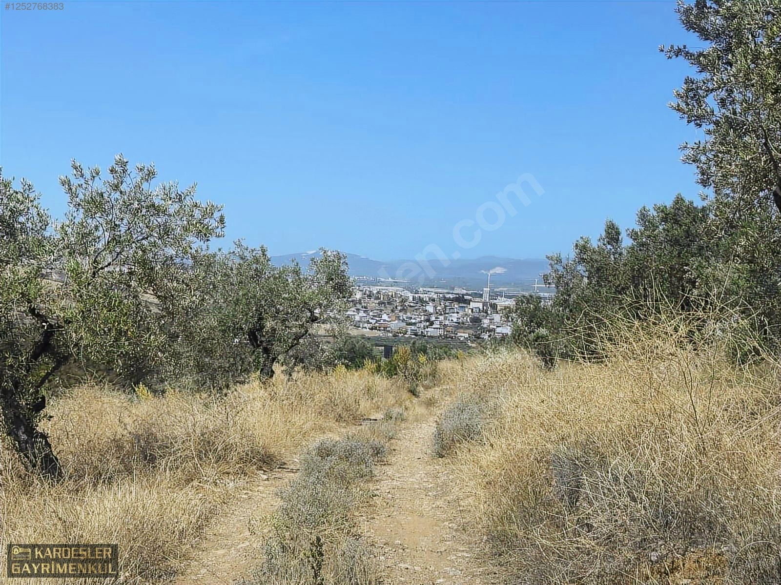 SATILIK CUMHURİYET MAHALLESİNDE TEK TAPU 4.489m2 ZEYTİNLİK - MANİSA AKHİSAR fotoğraf 2