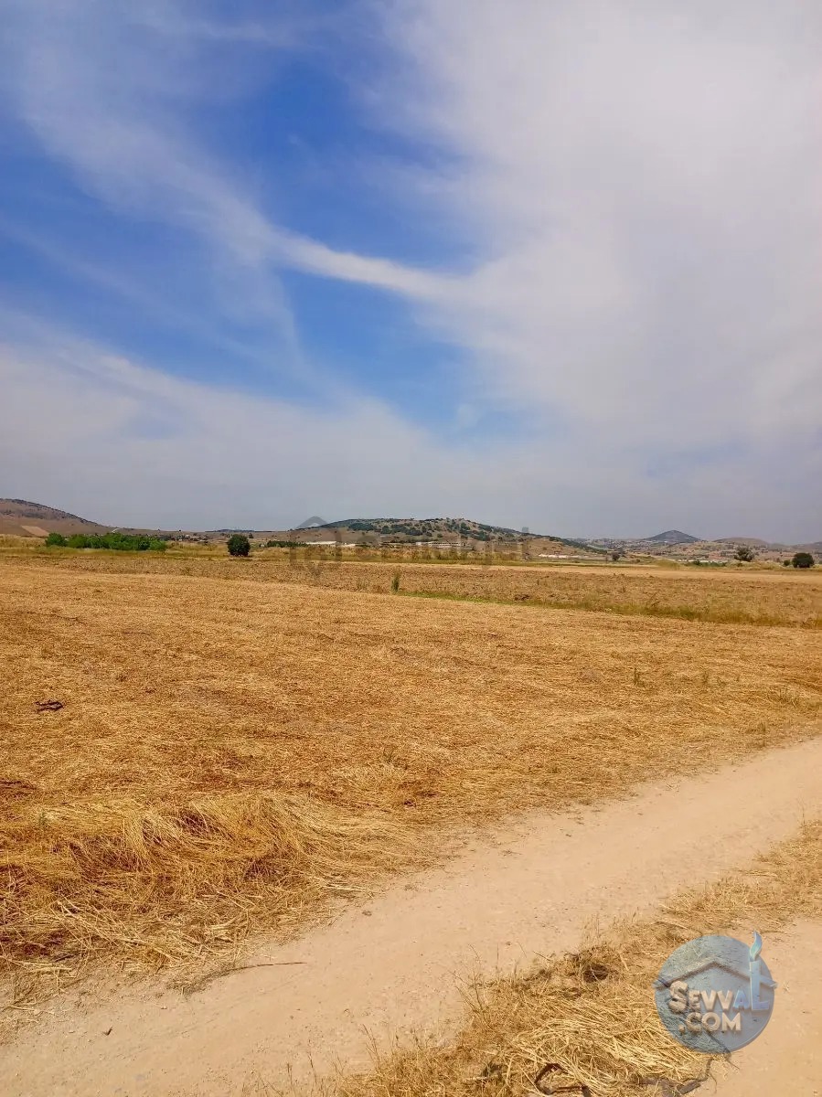 Gökçeyazı Da Kadastro Yolu Mevcut Tarla - BALIKESİR İVRİNDİ fotoğraf 17