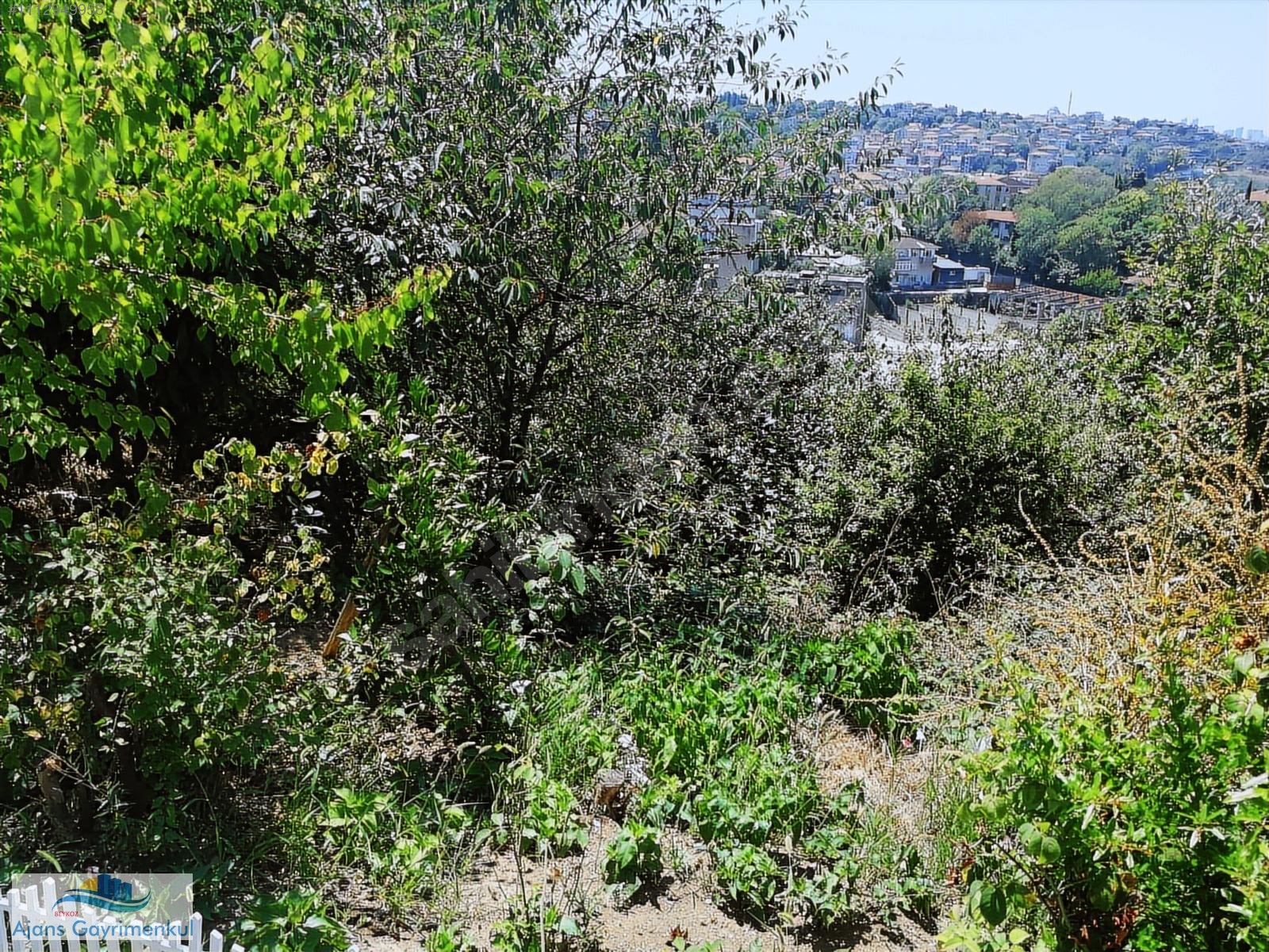 İncirköy de 800 m2 Arsa İçinde İki Adet Tek Katlı Müstakil Ev - İSTANBUL BEYKOZ fotoğraf 13