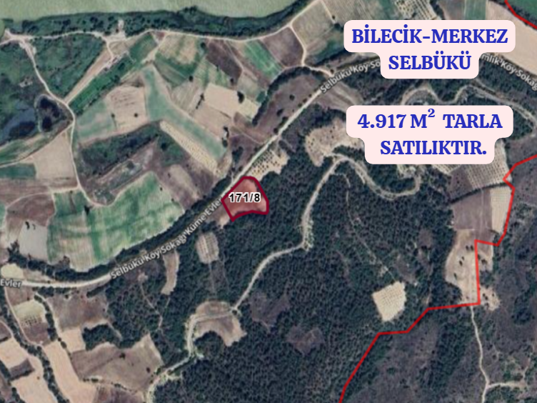 BİLECİK MERKEZ SELBÜKÜ KÖYÜNDE 4.917 M²  TARLA SATILIKTIR - BİLECİK MERKEZ fotoğraf 2
