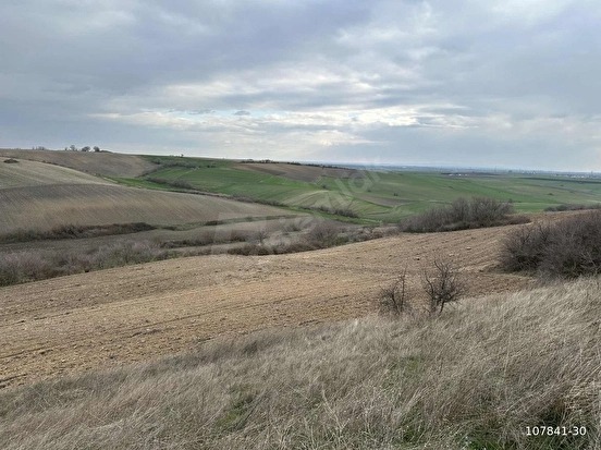 BABAESKİ ATATÜRK MAHALLESİNDE SATILIK 4234M2 5 HİSSE TOPLU ARAZİ - KIRKLARELİ BABAESKİ fotoğraf 8