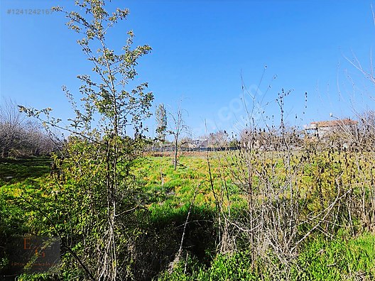 EMTİA'DAN ESKİMALATYA ALACAKAPI DA 3.253 M2 TEK TAPU TARLA - MALATYA BATTALGAZİ fotoğraf 3