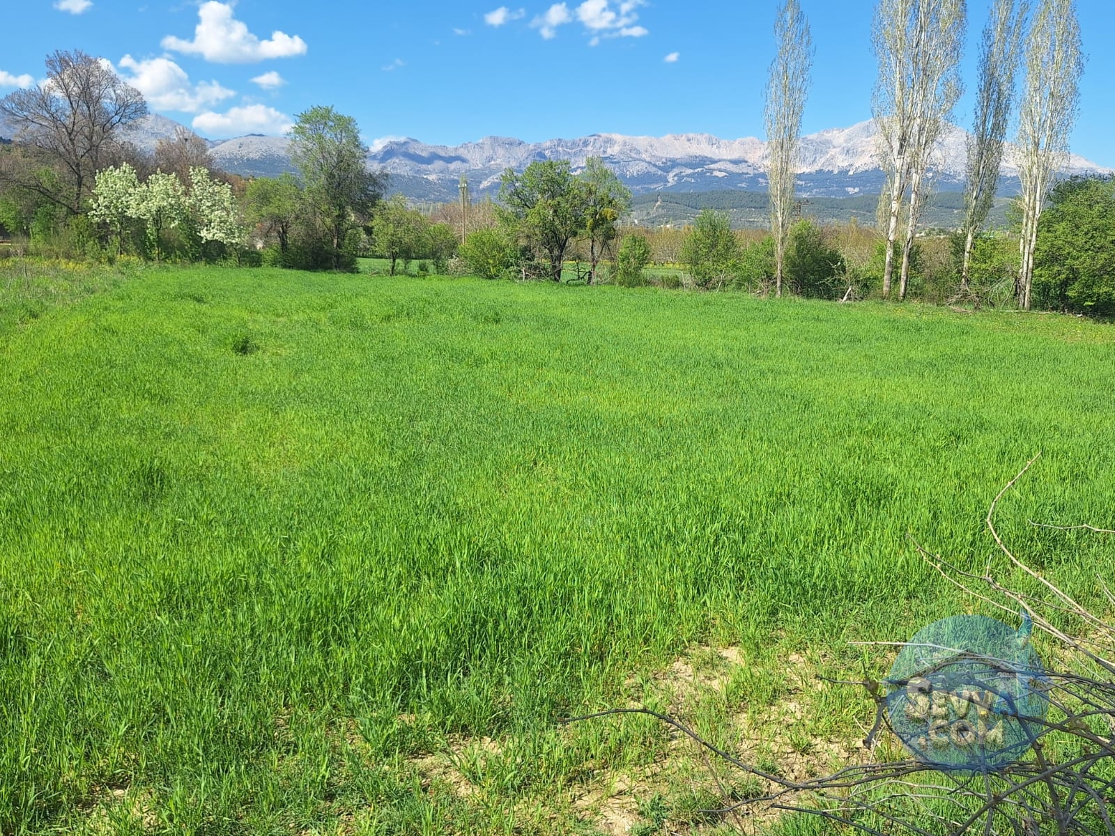 AĞLASUN KİBRİT KÖYÜNDE SATILIK FIRSAT ARAZİ - Burdur Ağlasun fotoğraf 17