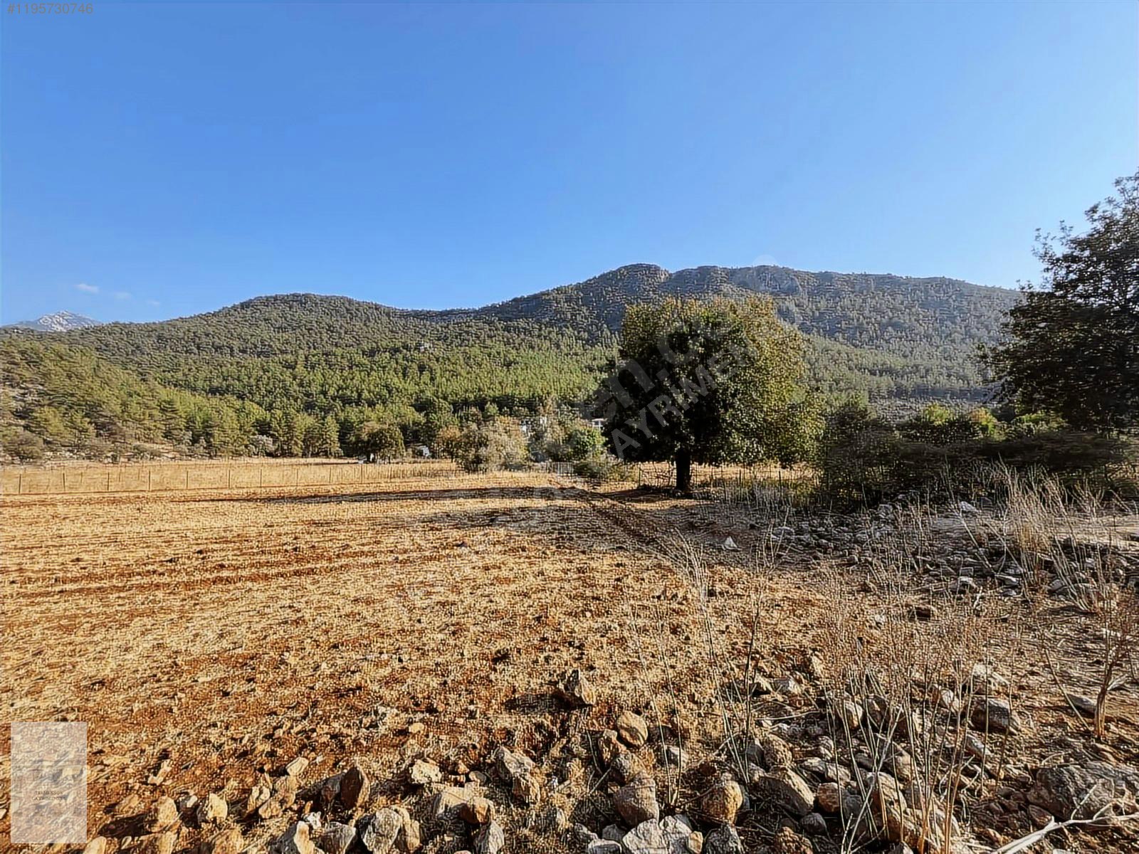 KAYAKÖYDE SATILIK RIZAİ TAKSİMLİ YATIRIMLIK 5300 m2 TARLA - MUĞLA FETHİYE fotoğraf 7