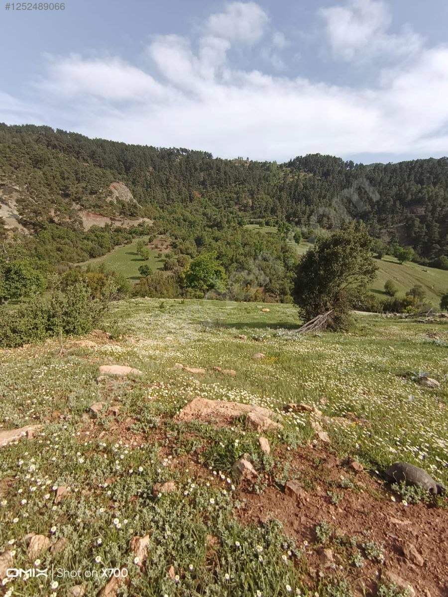 Antalya Konyaaltı Doyran Yayla 1.200 m² Tek Tapu Konyaalti Sahile 30 dk - ANTALYA KONYAALTI fotoğraf 6