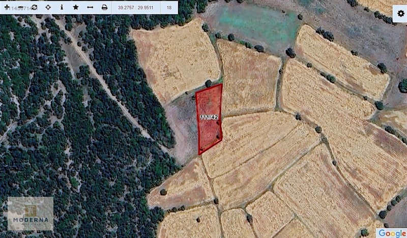KÜTAHYA MERKEZ KİREÇÇİFLİĞİ MANZARALI 1477 M2 TAM HİSSE TARLA! - KÜTAHYA MERKEZ fotoğraf 3