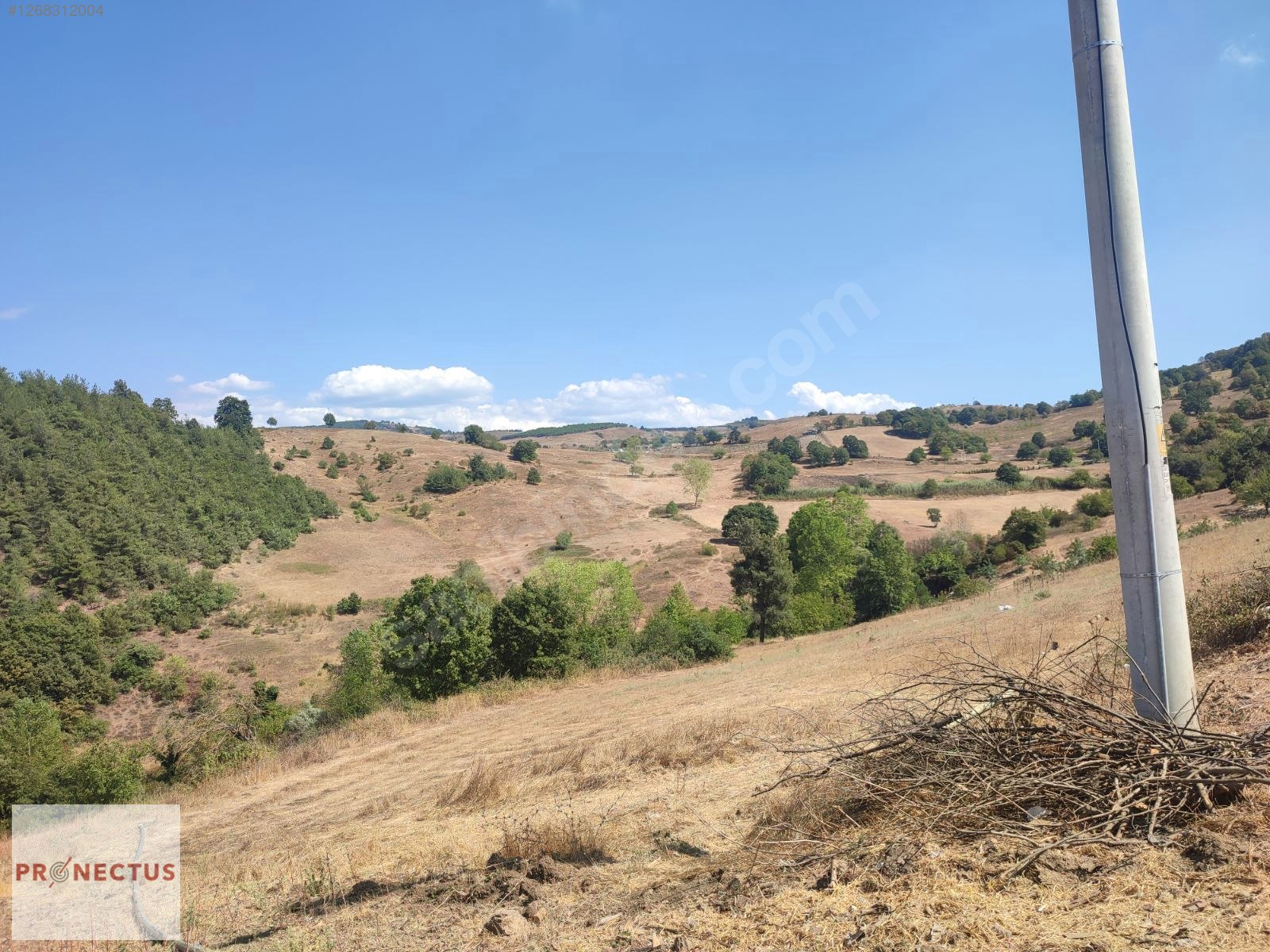 ÇAMDİBİ MAH. RESMİ YOLA CEPHE 2284 M2 SATILIK ARSA - KOCAELİ KARAMÜRSEL fotoğraf 3