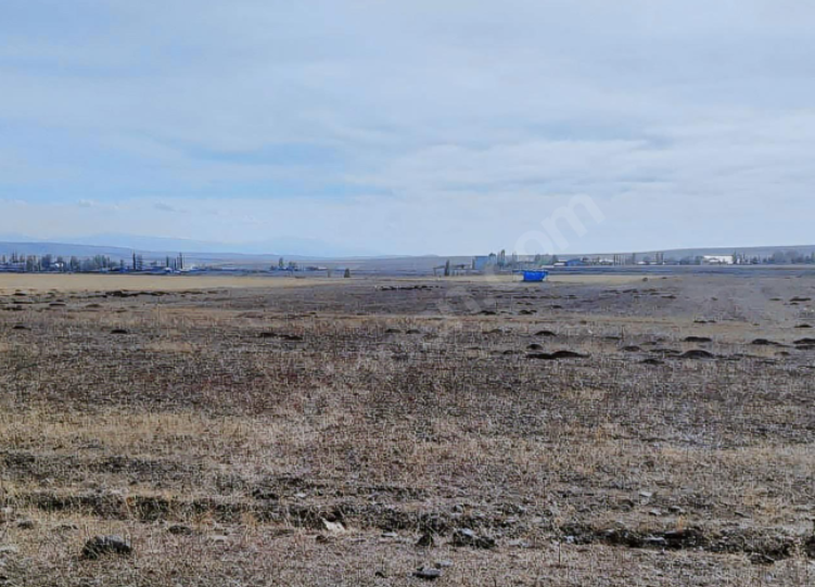 KARS SUSUZ İNCESU  KÖYÜNDE 12.850 M²  TARLAMIZ  SATILIKTIR - KARS SUSUZ fotoğraf 7