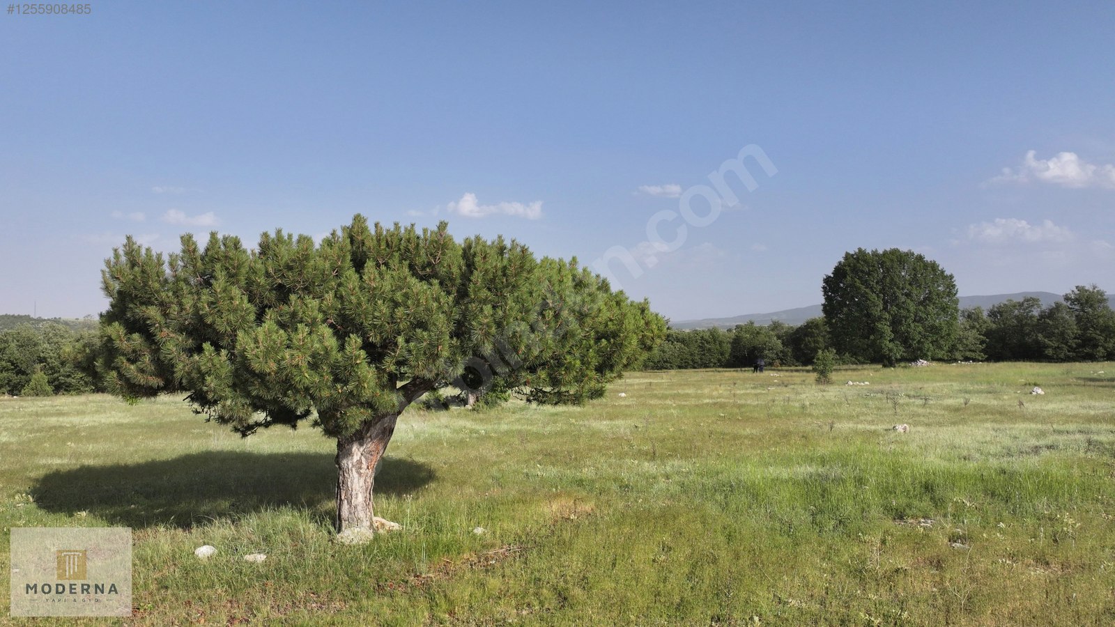 ESKİŞEHİR 20650 M2 TEK TAPU ORMANA CEPHE HALI GİBİ EMSALSİZ ARSA - ESKİŞEHİR HAN fotoğraf 12