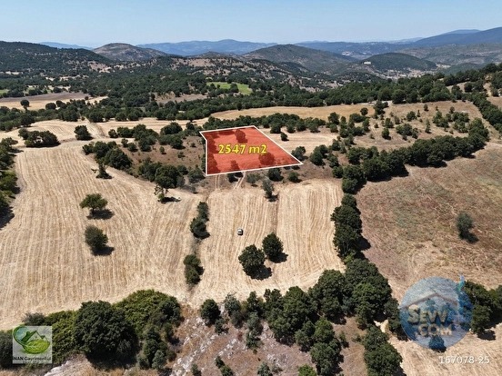 🚨 DURSUNBEY OSB YAKININDA 2.547 M² YATIRIMLIK VERİMLİ TARLA 🚨 - BALIKESİR DURSUNBEY fotoğraf 8
