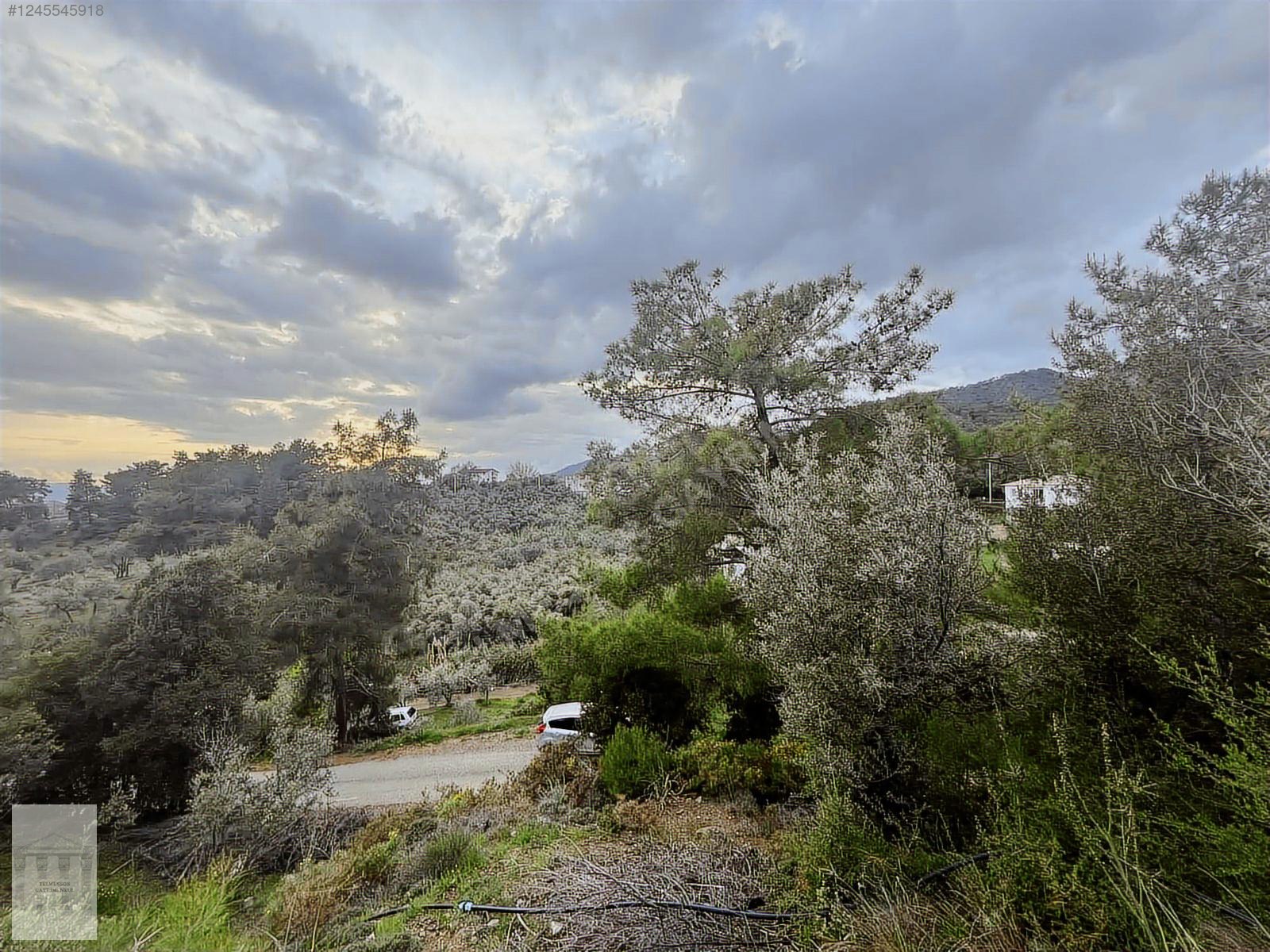 ELDİREK MAHALLESİ KÖY YERLEŞİK ALANI İÇERİSİNDE SATILIK ARSA - MUĞLA FETHİYE fotoğraf 6