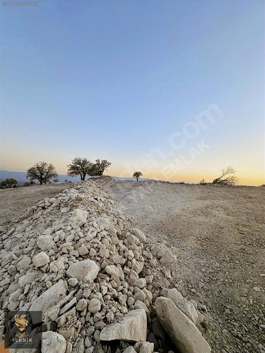 EKİLİP BİÇİLMEYE HAZIR YATIRIMLIK SATILIK ARAZİ - MERSİN MUT fotoğraf 8