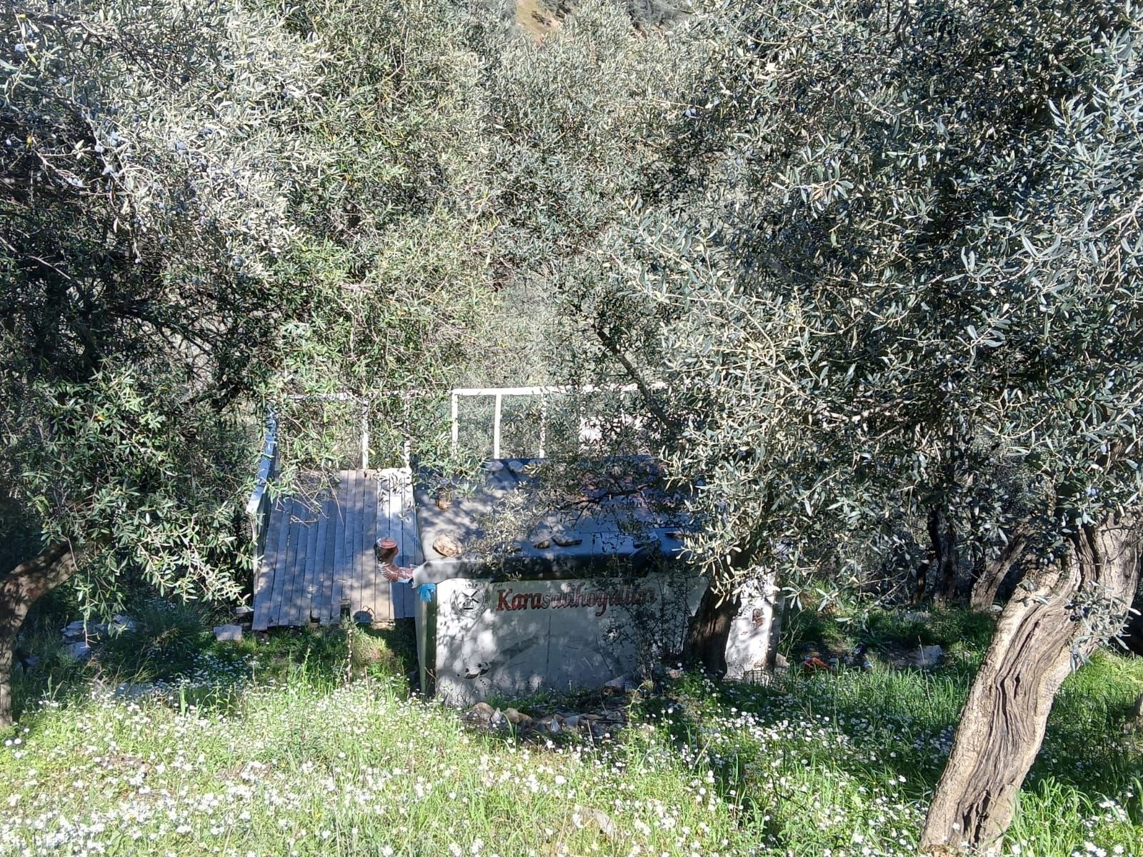İZMİR BAYINDIR KIZILOBA  KÖYÜNDE 119 M² ZEYTİNLİK  SATILIKTIR - İZMİR BAYINDIR fotoğraf 16