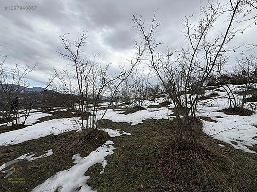 DÜZCE YIĞILCA HACILAR 'DA 2.744 M2 BAĞ EVİ OLAN FINDIK BAHÇESİ - DÜZCE YIĞILCA fotoğraf 27