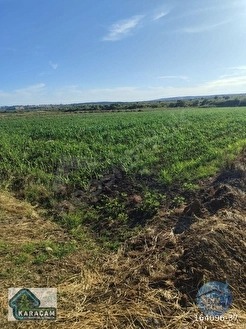 ÇANAKKALE BİGA GERLENGEÇ KÖYÜNDE SATILIK TARLA - ÇANAKKALE BİGA fotoğraf 13